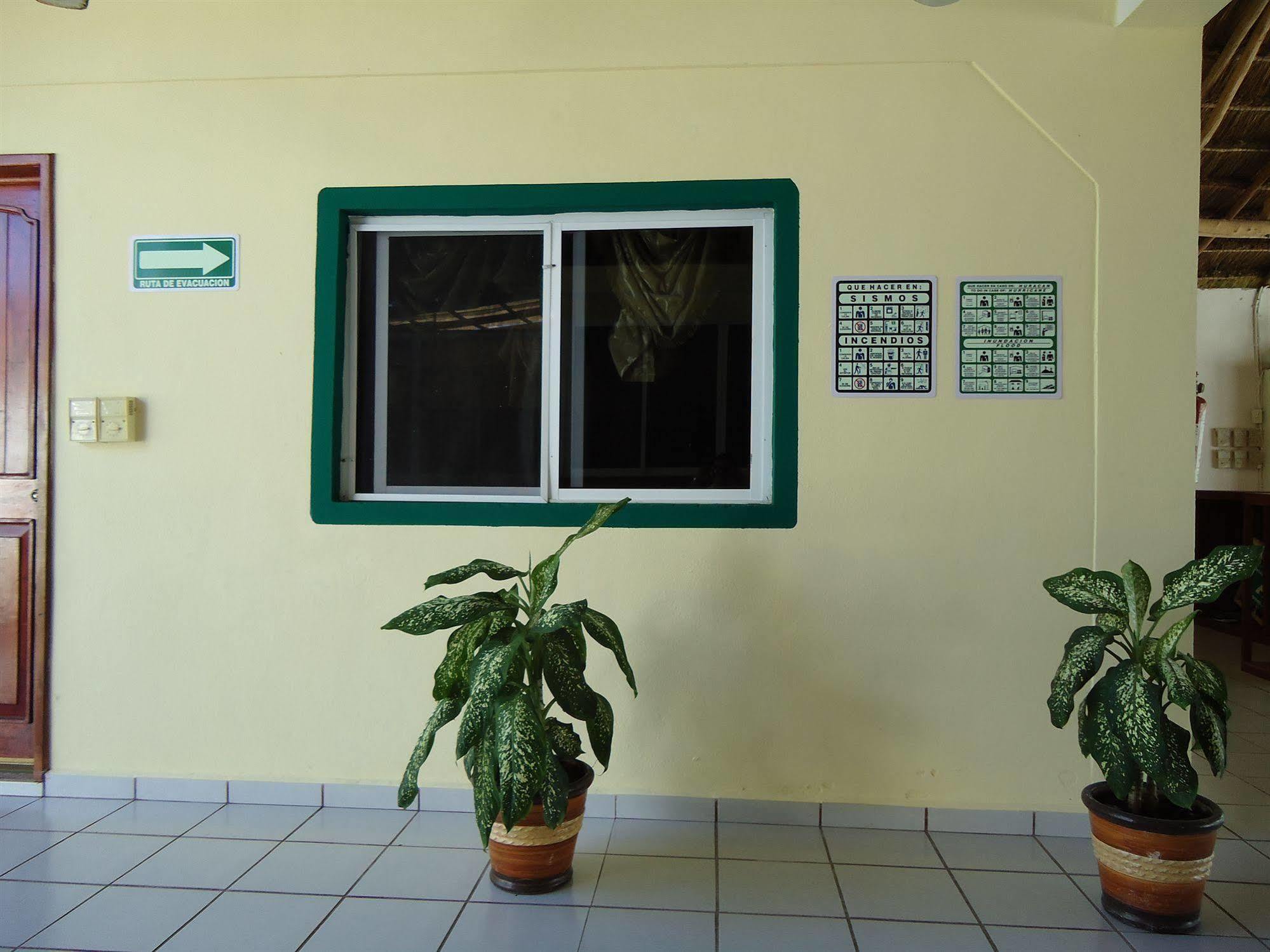 Oyo Hotel Palma Real Tulum Exterior photo